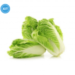 Chinese cabbage, 1 kg - image-0